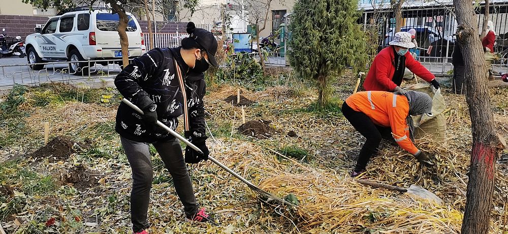 30403d937871b65e0ee07b1c3a5ff980.jpg nEO_IMG_IMG_0105(00021106-163600).jpg