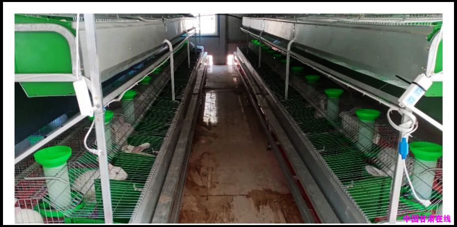 7b4b54468cfed0f19fc721d87bc05484.jpg nEO_IMG_图片5.jpg