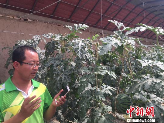 <a href=http://www.cngansu.cn/news/ target=_blank class=infotextkey></a>ǻ壺ͷWIFIũ񡰵ͷѧ