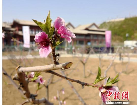 <a href=http://www.cngansu.cn/news/ target=_blank class=infotextkey>����</a>���ݰ��������С�ʮ�����硱֮����������Ѧ÷ ��