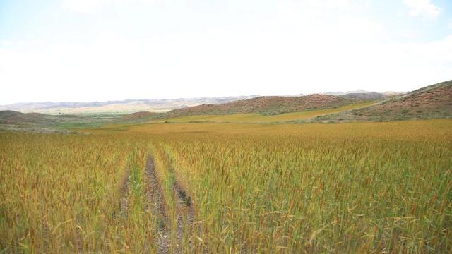 23f732c4ea6e999bb3be98e3724603e3.jpg 图片2.jpg