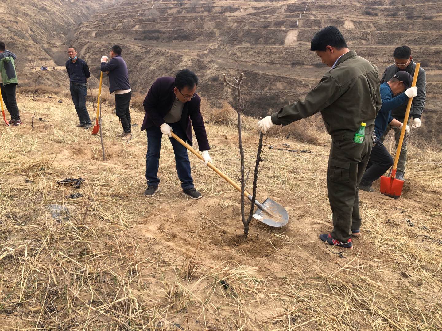 ffc0c6141edfe5196ec7a26d98b91721.jpg ffc0c6141edfe5196ec7a26d98b91721.jpg