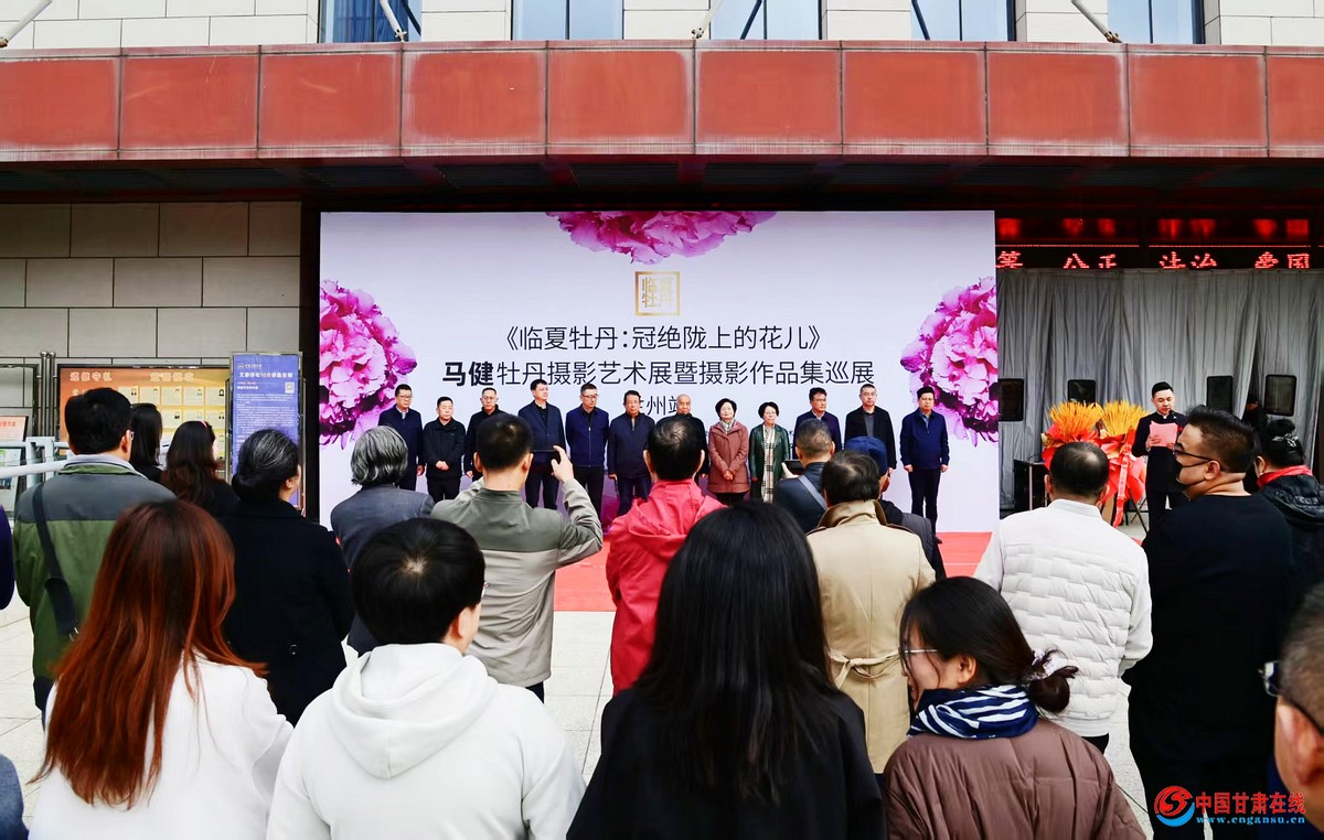 ĵھ¤ϵĻĵӰչӰƷѲչо