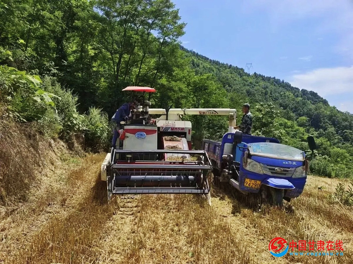 2a98c3135aac3e4c378c01369e884410.jpg nEO_IMG_图片3.jpg