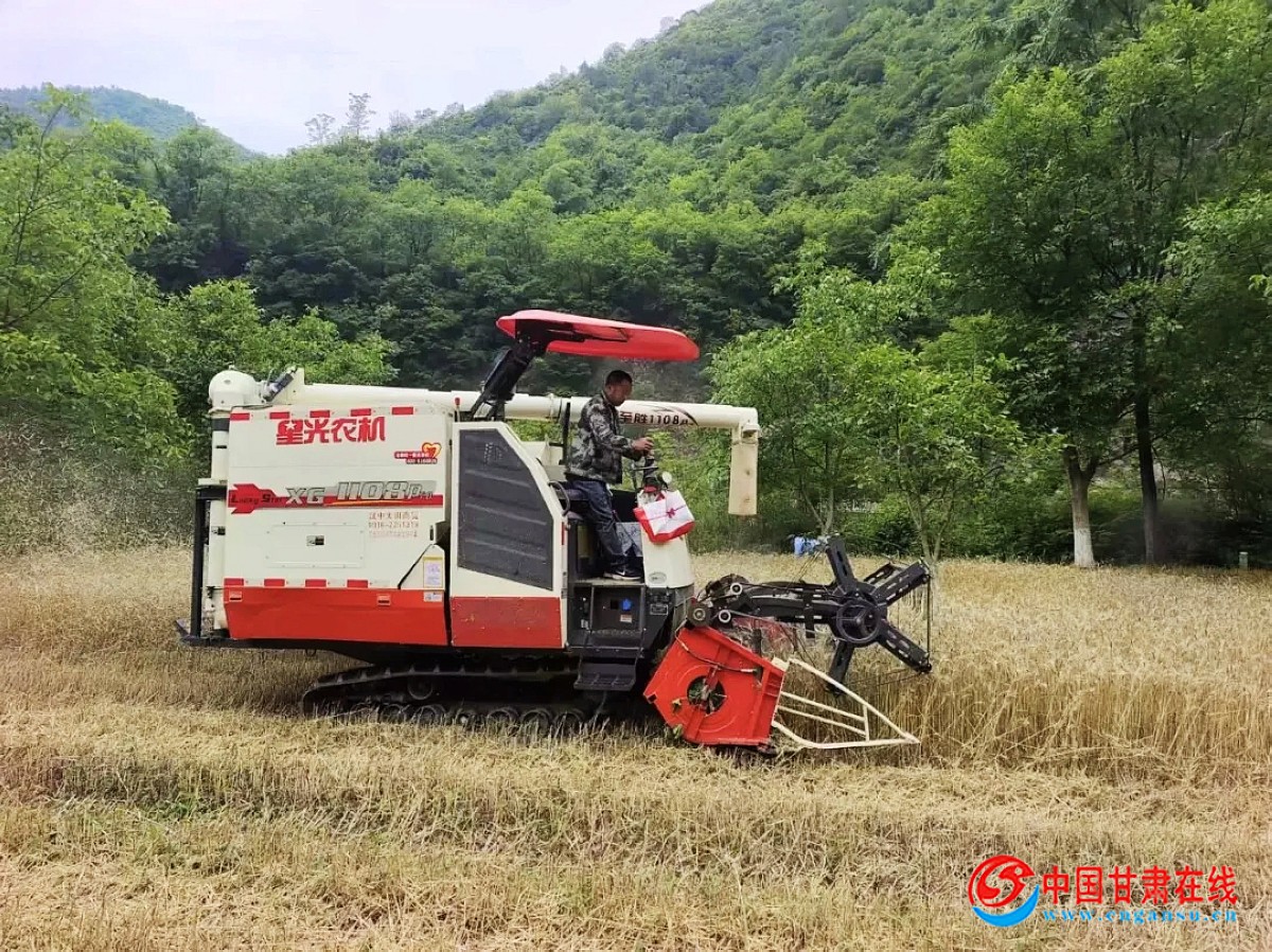 74ac06970171fccf229d759ec57db61e.jpg nEO_IMG_图片2.jpg