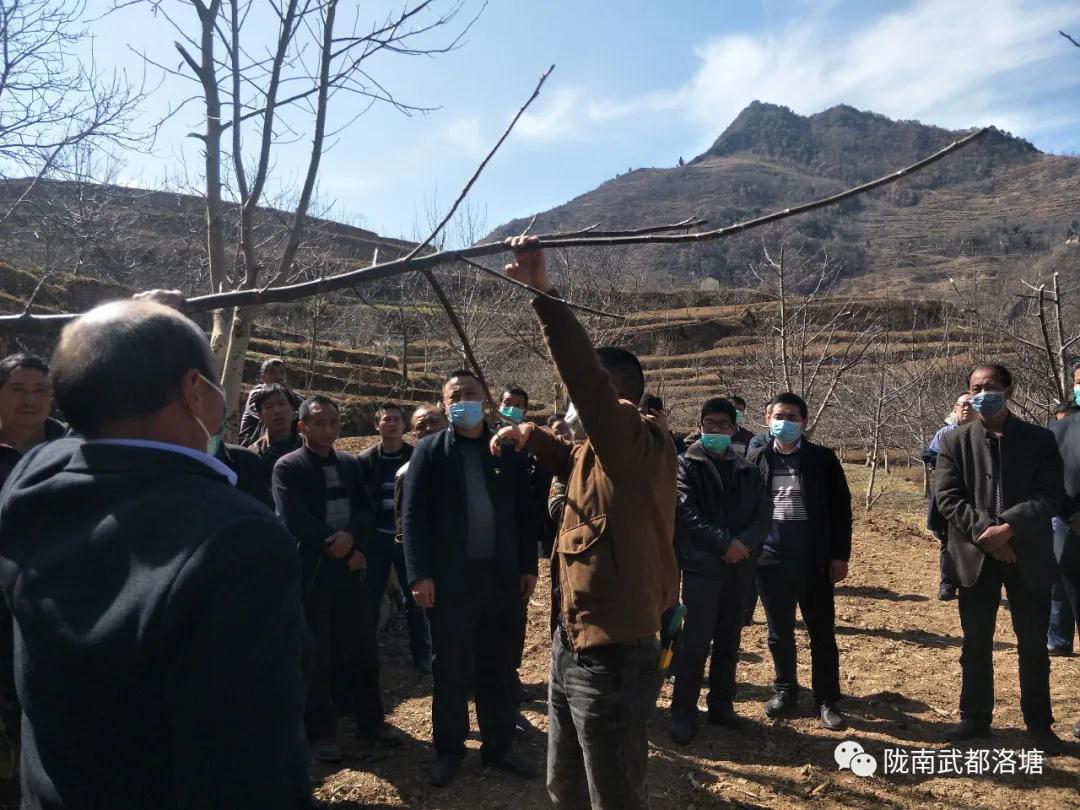 7330b58f78f7e68ae3e23674f7f748a4.png 7330b58f78f7e68ae3e23674f7f748a4.png