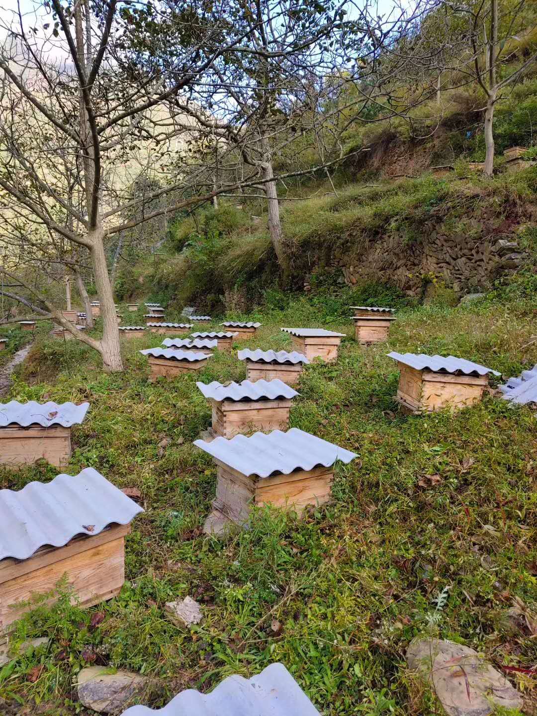 16edaf27d2d7a987c243542c2badc96e.jpg 16edaf27d2d7a987c243542c2badc96e.jpg