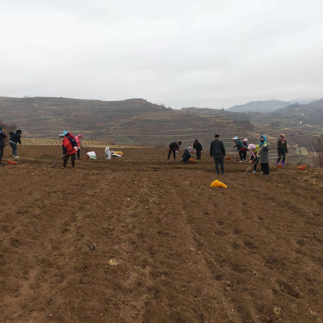 10d678a1db18ba5c2d7604527208e82b.jpg 10d678a1db18ba5c2d7604527208e82b.jpg