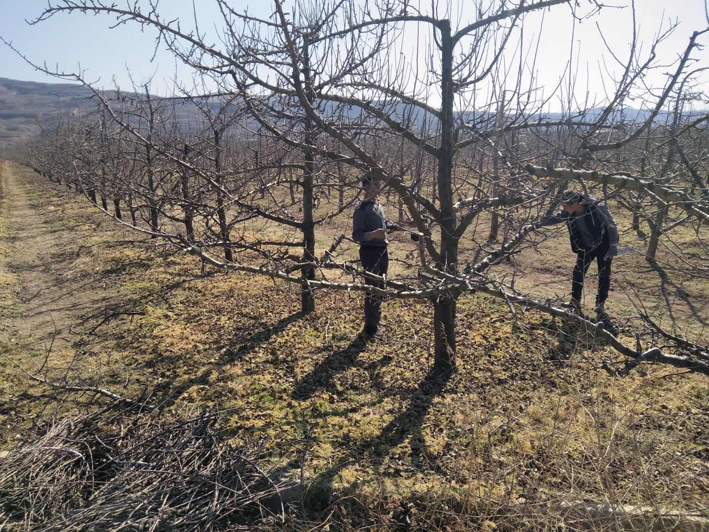 51955250cd62e118e9751e1d750b4e9f.jpg 51955250cd62e118e9751e1d750b4e9f.jpg