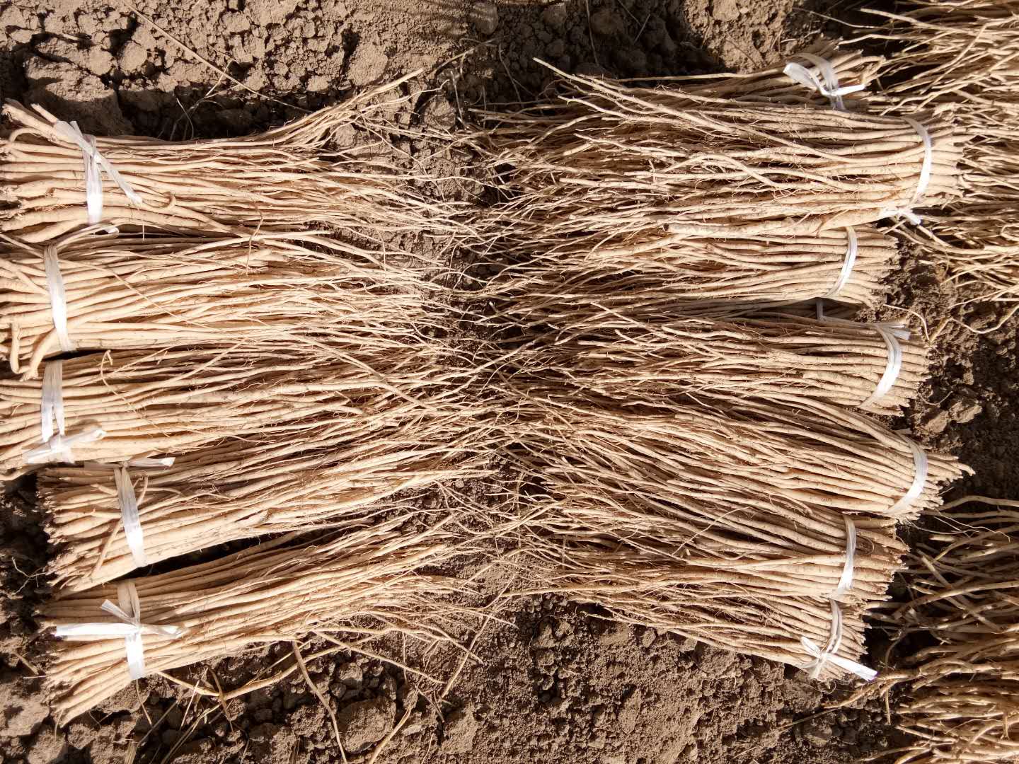 9a833489e6ebfa20405020fe85fe80d8.jpg 9a833489e6ebfa20405020fe85fe80d8.jpg