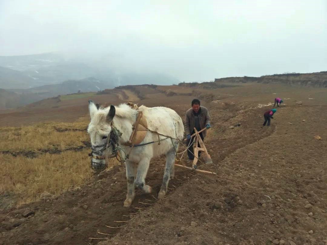 adfc17589d2ce74af2647fb6b35c39a4.jpg adfc17589d2ce74af2647fb6b35c39a4.jpg