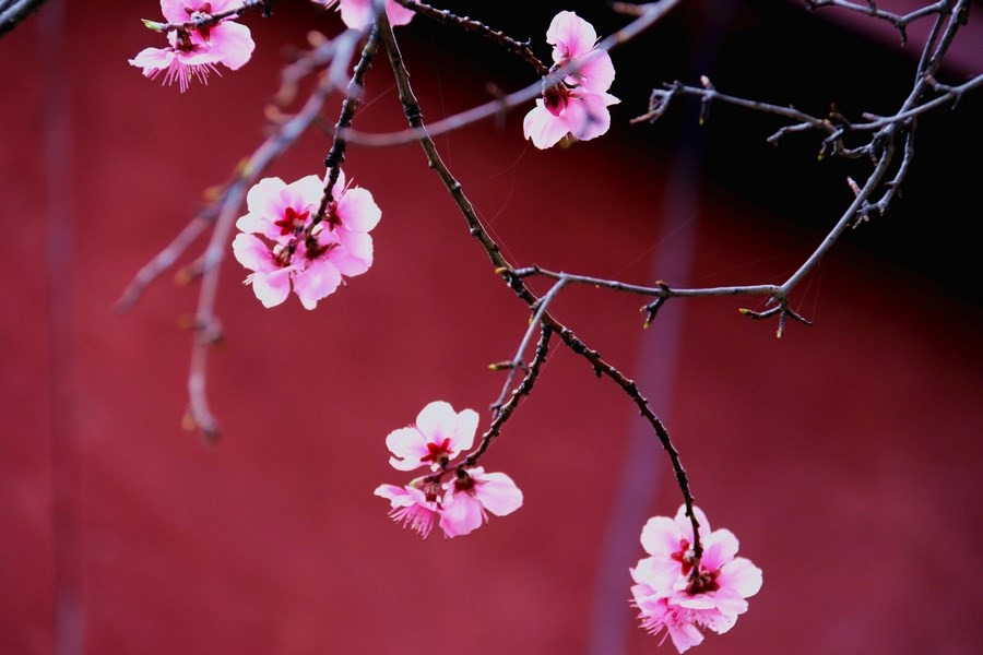 304e2384df65a7ba95eeb98054624e51.jpg 微信图片_20200318085520.jpg