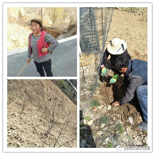 7325979b9c288e789a0920700ecde5d8.jpg 微信图片_20200320143859.jpg