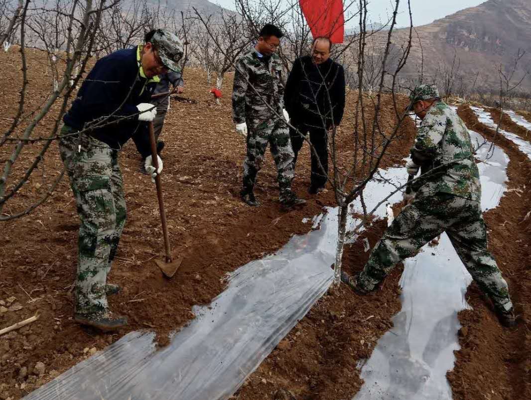 860e3e008f4f28fa8b267b57800e945b.jpg 图片2.jpg