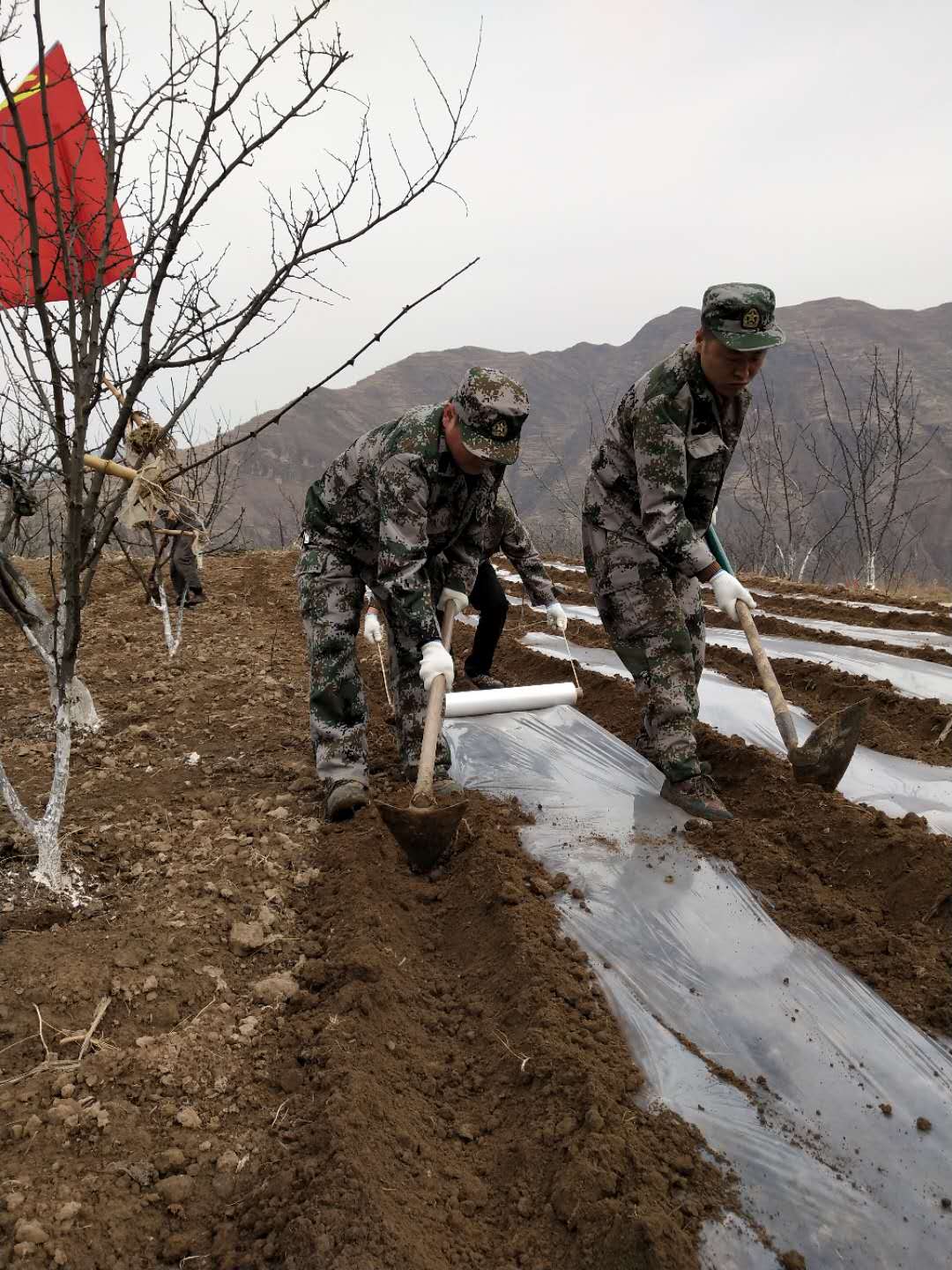 b5197f84ed27c2f77bc4b4a583fc01f9.jpg b5197f84ed27c2f77bc4b4a583fc01f9.jpg