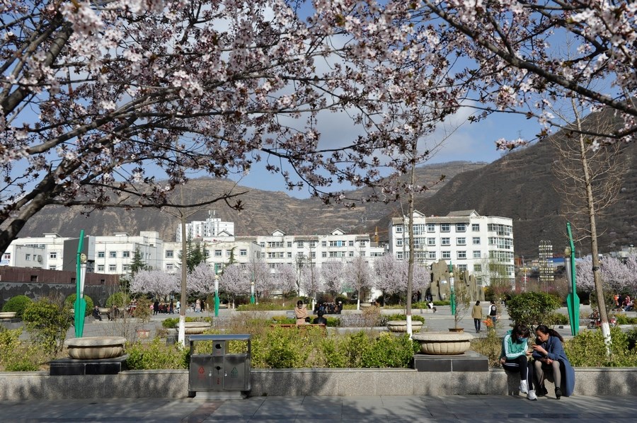 18d129dc78e2c405fe17ec0af5982a6d.jpg 图2.JPG