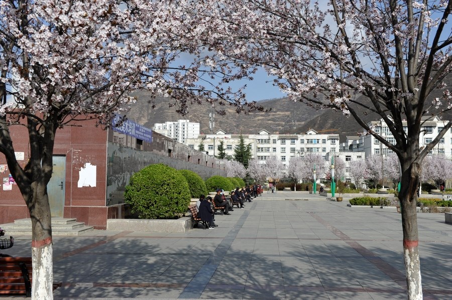 71b3b97d85c8016716bcc9c48abf0e8a.jpg 图1.JPG