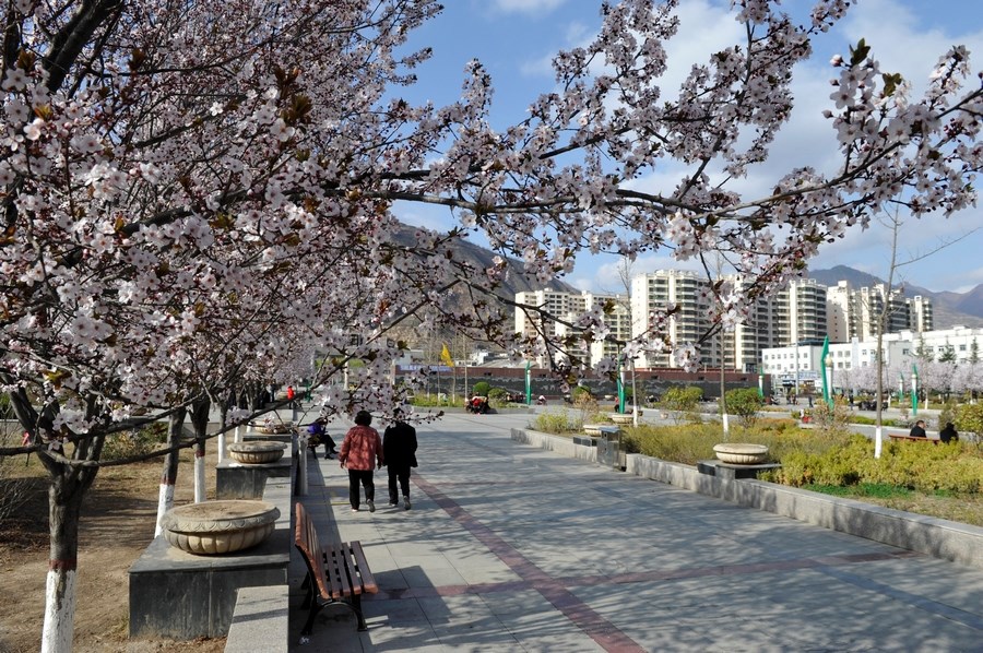 fa0eeb2f14a6f234699b63a9f4a21a99.jpg 图4.JPG