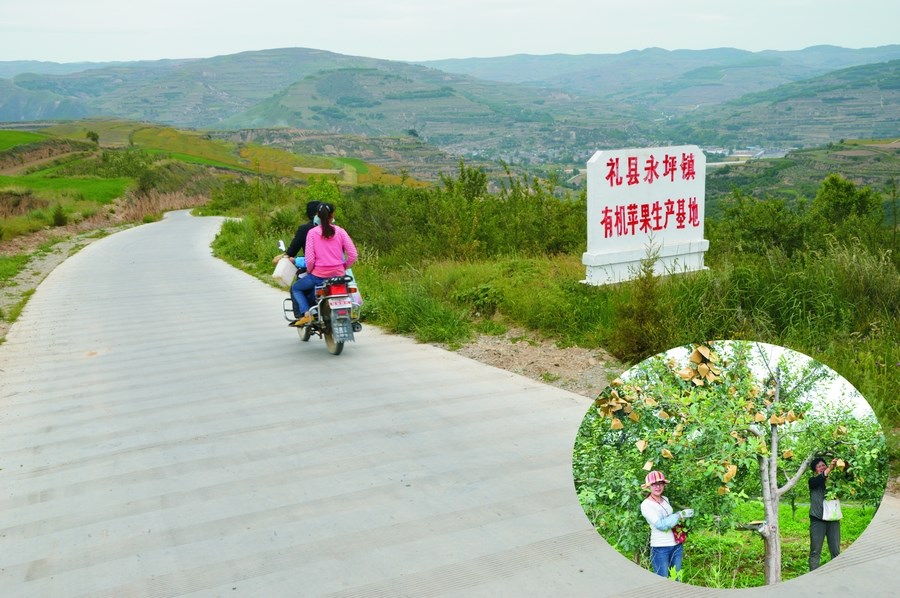 29c767e37357f5a1465c19fb2b446385.jpg nEO_IMG_永坪镇有机苹果生产基地产业路.jpg