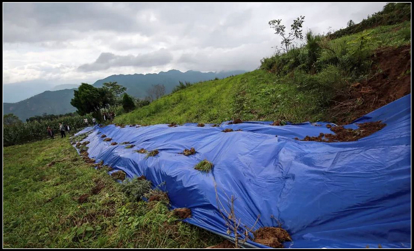 3d8634e1bf08a12ae2d81bbe2c91fa81.jpg nEO_IMG_图片8.jpg