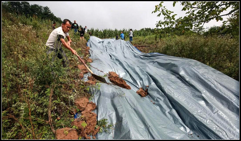 3e9d4dc531cd78be0822550fa9ab442c.jpg nEO_IMG_图片6.jpg