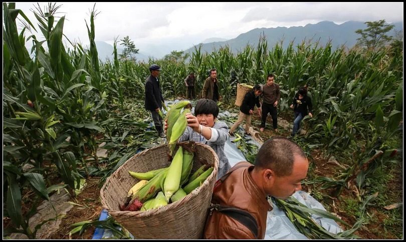 54dce5b37d0891b56012095861c826f2.jpg nEO_IMG_图片5.jpg