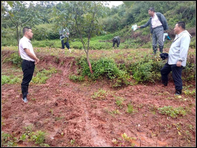 349dd987ef891630f643d7f6b15d246e.jpg nEO_IMG_图片7.jpg