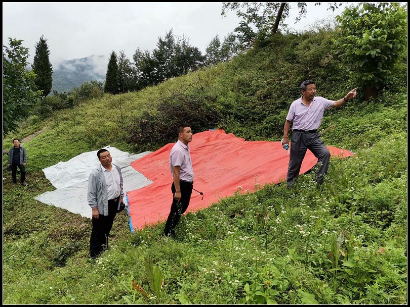 575ec13572e7223f3e70d698df8e293b.jpg nEO_IMG_图片3.jpg