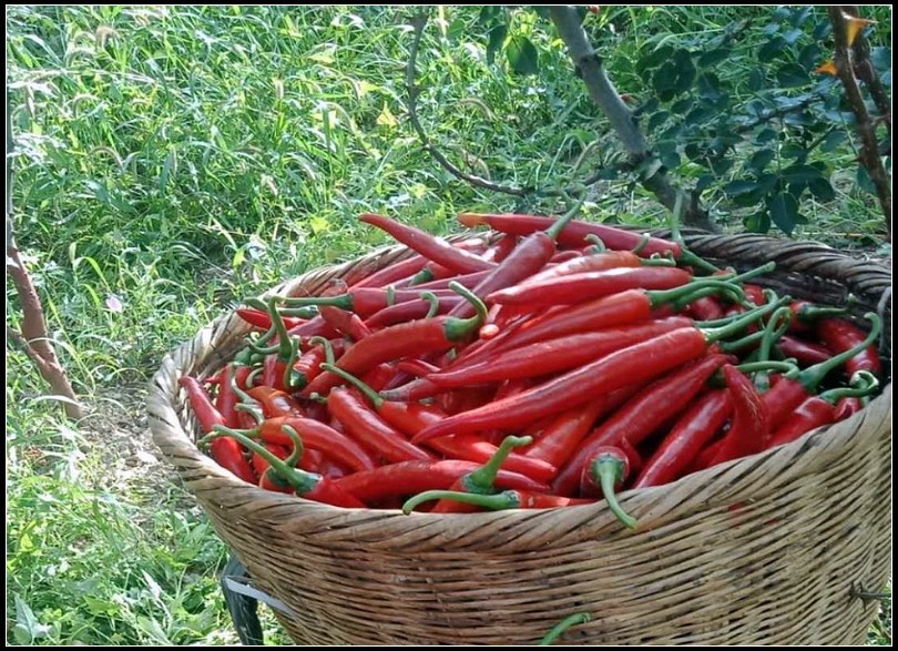 ac9745c0f18aed8f938d13c70b6c45ea.jpg nEO_IMG_图片3.jpg