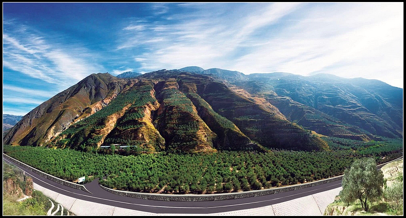 804aebf95eba309691f324599404f9b8.jpg nEO_IMG_图片1.jpg