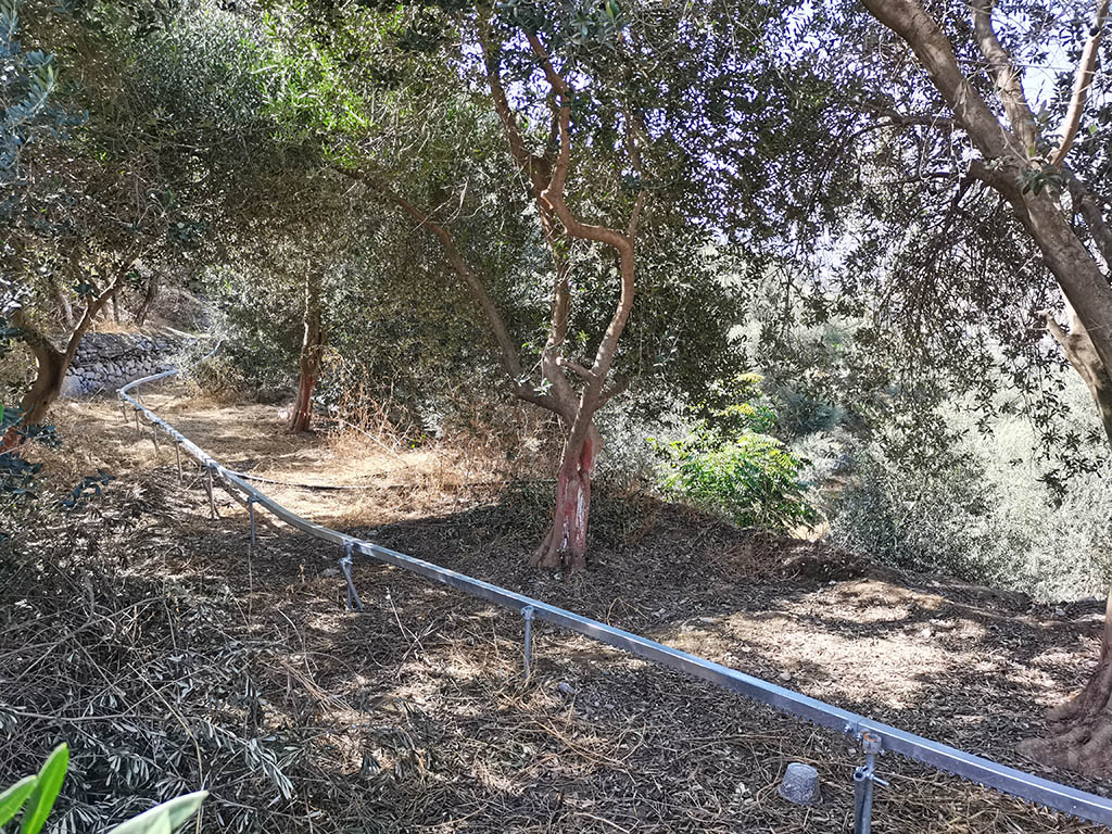 eb0abd48d00b375e53e10c4382451f12.jpg 图片2.jpg