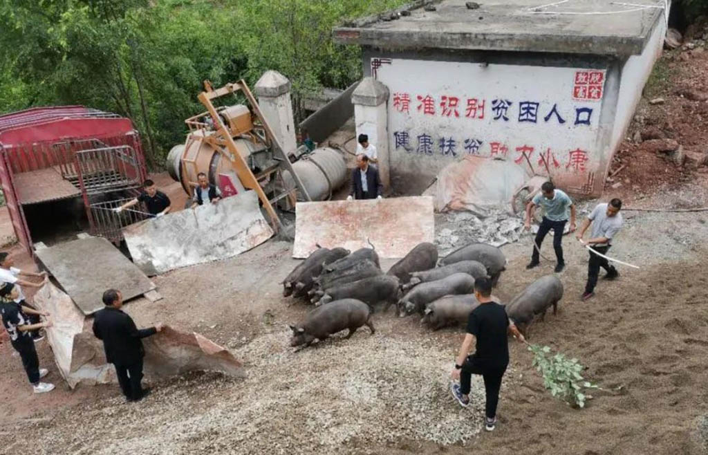 6b84e4479b24396cc27f89aaaa7a3b98.jpg 微信图片_20201026112138.jpg