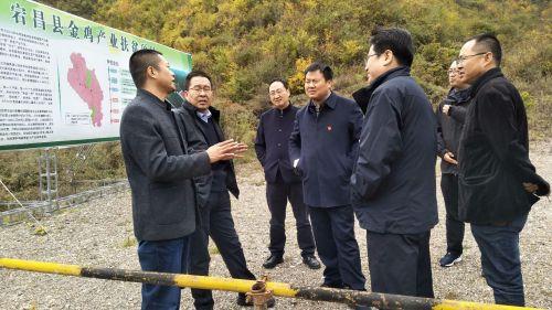 d75f7d11e69ea7cb1da11662148d12d3.jpeg e4dde71190ef76c6f7774a81dda28afdae51672a.jpeg