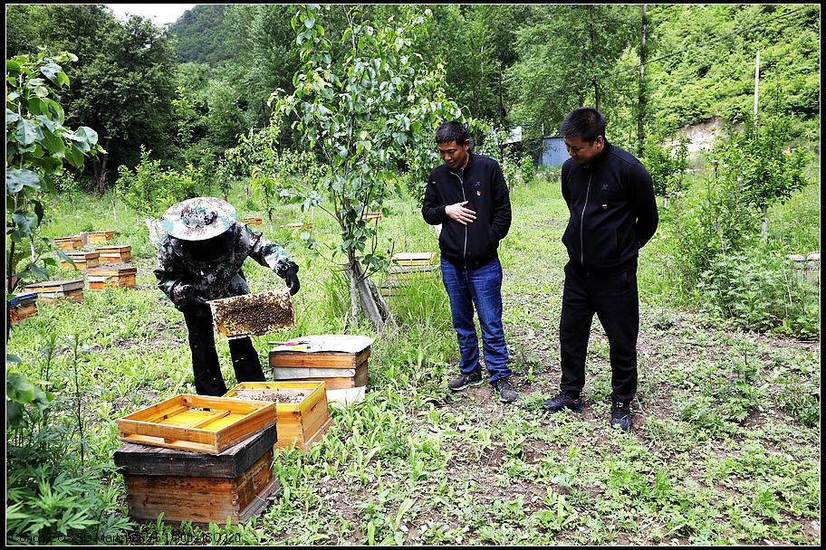 180647a69537b72825c9c1ad86aa9a92.jpg nEO_IMG_微信图片_202010271112503.jpg