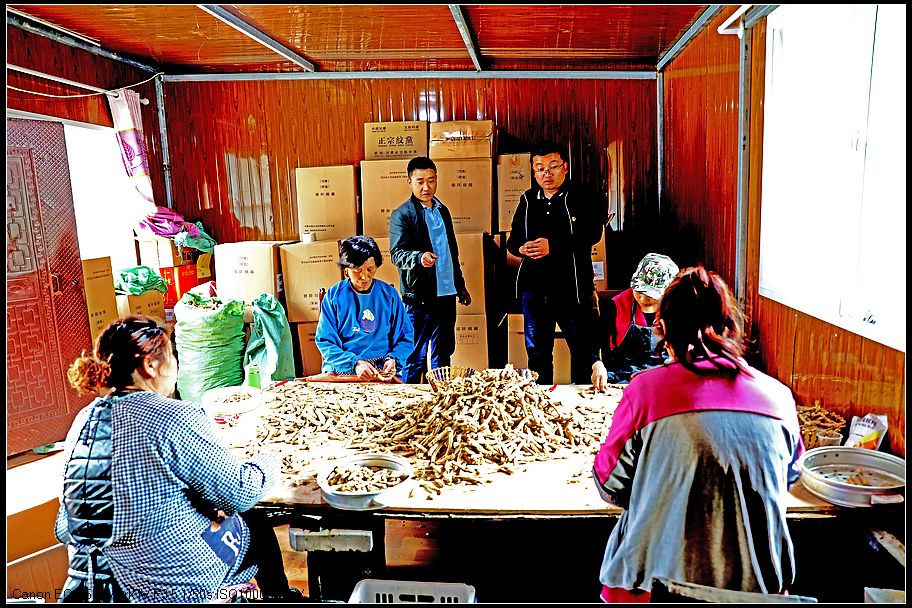 dd909768c38fc0bafa478ac2cf31769a.jpg nEO_IMG_微信图片_202010271112501.jpg