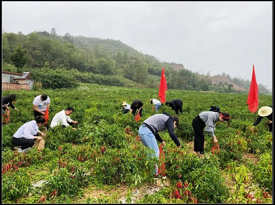 1e4d843c44762979100d52b55bf6babd.jpg nEO_IMG_微信图片_20201102150745.jpg