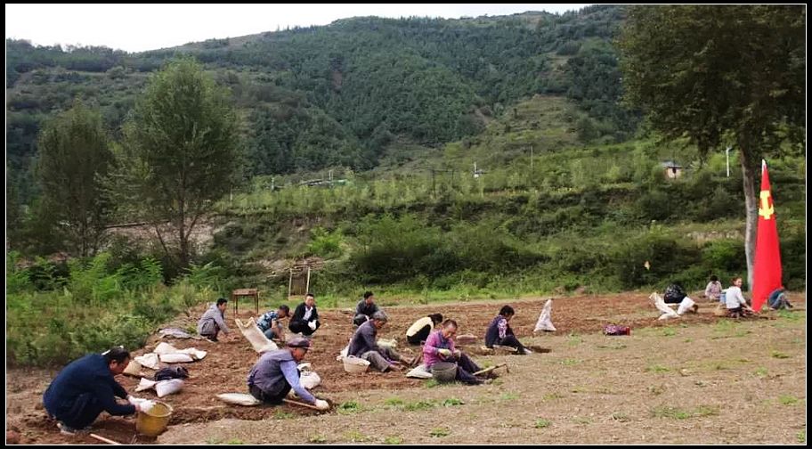 6b3597d3060948717a45fb5c124d7197.jpg nEO_IMG_微信图片_20201102150853.jpg