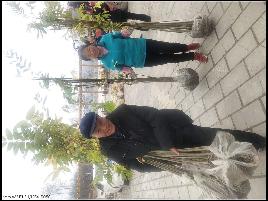 f5a9fdedf8e82963afded25004b0311e.jpg nEO_IMG_微信图片_20201124115659.jpg