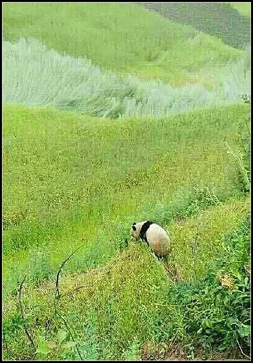 0af88408556c574d6639e954bf4e9942.jpg nEO_IMG_图片7.jpg