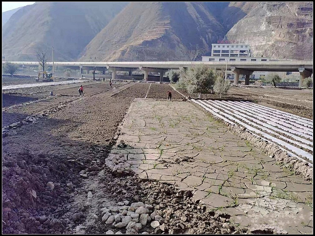 da3a49ce339abf93c9a99a296fbe0daf.jpg nEO_IMG_图片2.jpg