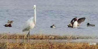 cfaf341dc949c95bad6c197b7b6bbd6f.jpg 图片2.jpg