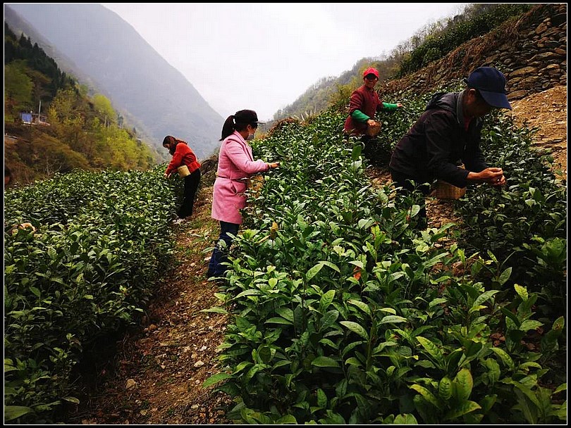 24f09064bf178ea75f4beec096d20196.jpg nEO_IMG_图片1.jpg