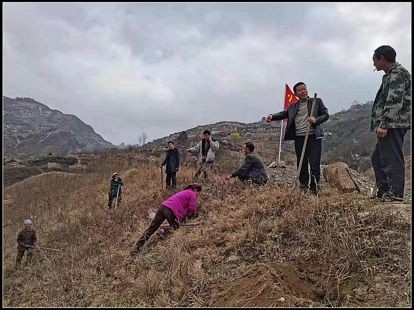 51a2d021d845b51e44308f334c9430bf.jpg nEO_IMG_图片6.jpg