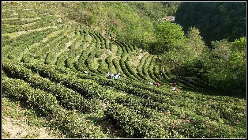 59d7bc156492b047f0e3930119f82896.jpg nEO_IMG_图片3.jpg