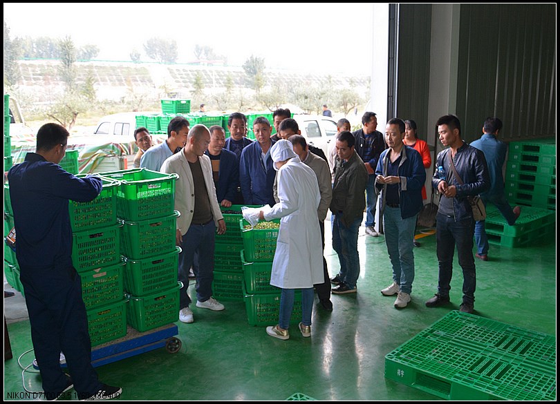 9f2e3ee00cd91afc7bf18b89133ed7ff.jpg nEO_IMG_图片8.jpg