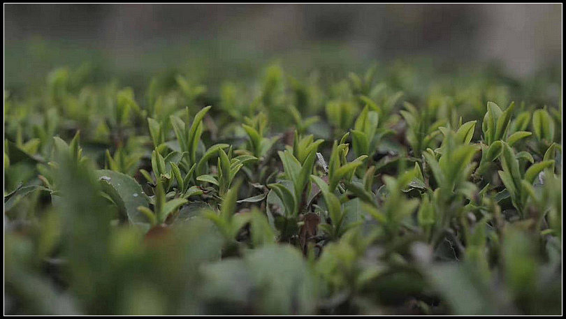 b5eb95034dae5ec397973fbfeafce4c7.jpg nEO_IMG_图片4.jpg