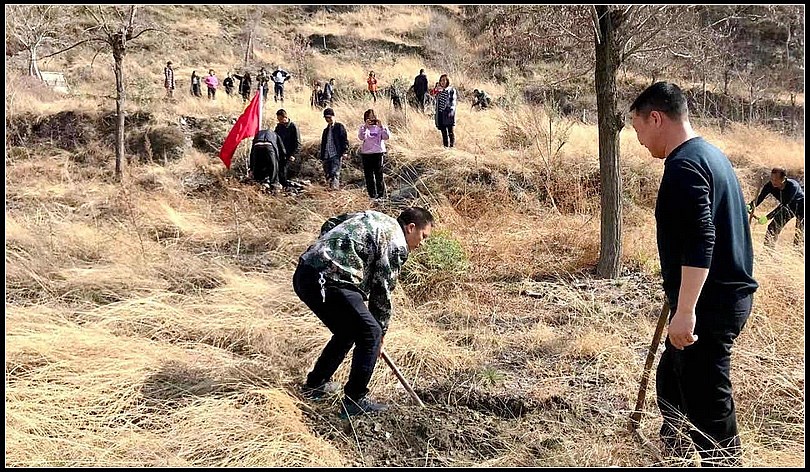 f9bbd9d3d96876a46ef71971c668529e.jpg nEO_IMG_图片4.jpg