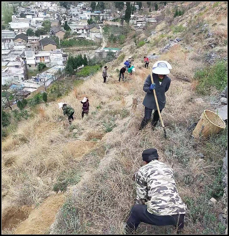 51149d6388fe36b383dacaa2b3c2db0b.jpg nEO_IMG_图片2.jpg