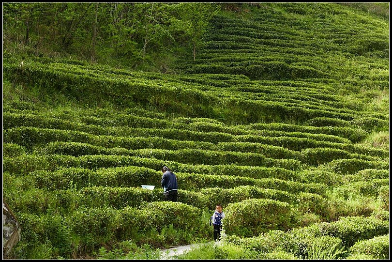 78cb66916e9a7e7b813e64849e7d529a.jpg nEO_IMG_图片4.jpg