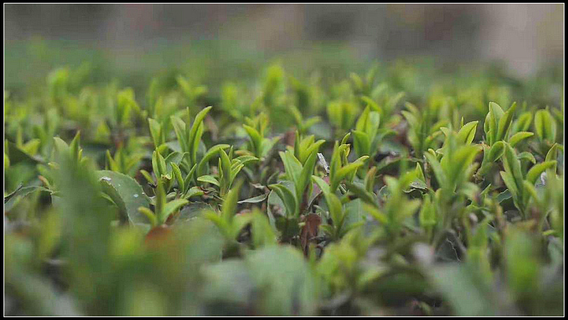 c3a6cfb801a0bda015a7a63c03d0d7b7.jpg nEO_IMG_图片6.jpg